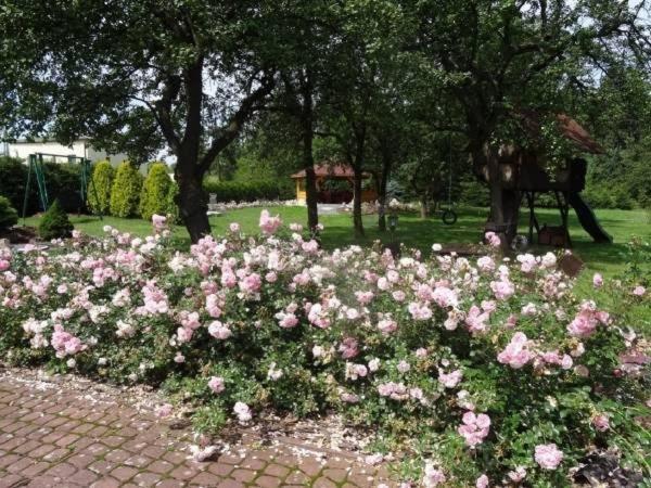 Skalny Apartamenty, Pokoje Ogrodzieniec Kültér fotó